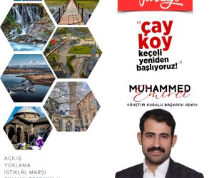 PHOTO-2025-11-04-00-25-38